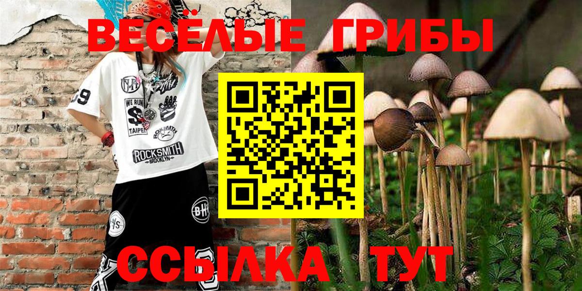 Псилоцибиновые грибы прущие грибы Ахтубинск